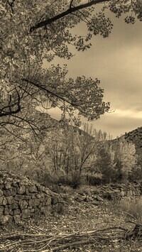 Szary + Sepia
