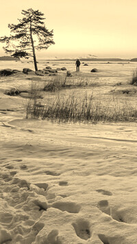 Sepia