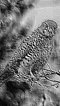 Skamielina