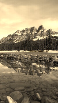 Szary + Sepia