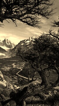 Szary + Sepia