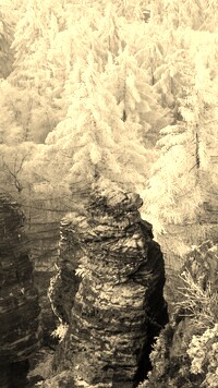 Szary + Sepia