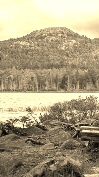 Szary + Sepia