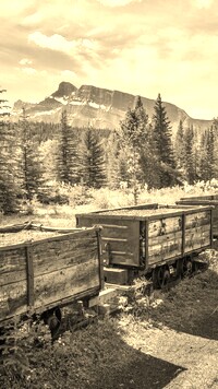 Szary + Sepia