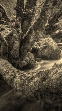 Sepia