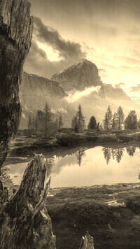 Szary + Sepia