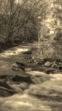 Sepia