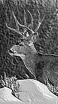 Skamielina