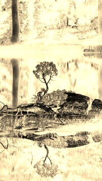 Sepia + Negatyw