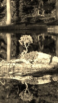 Sepia