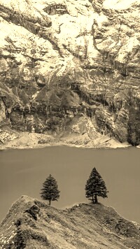Szary + Sepia