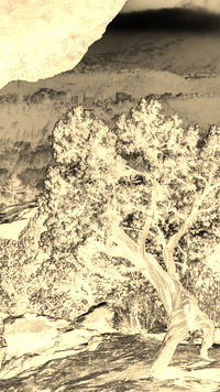 Sepia + Negatyw