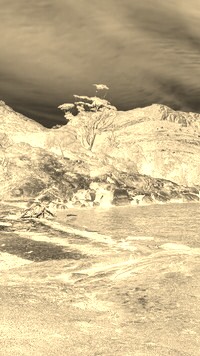 Sepia + Negatyw