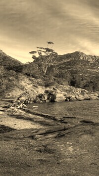 Szary + Sepia