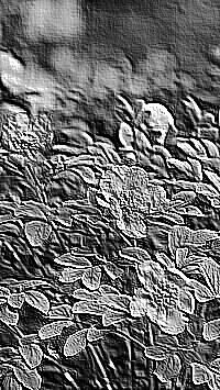 Skamielina