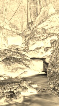 Sepia + Negatyw