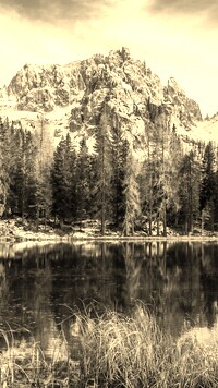 Szary + Sepia