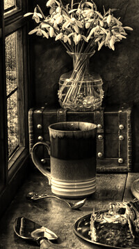 Szary + Sepia