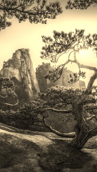 Szary + Sepia