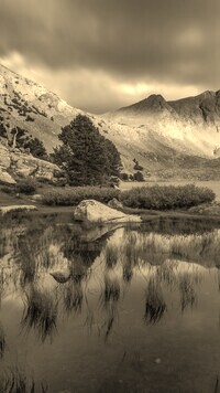 Sepia