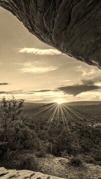Sepia