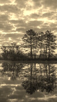 Szary + Sepia