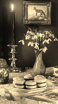 Szary + Sepia