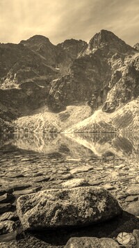 Szary + Sepia