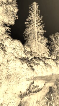 Sepia + Negatyw