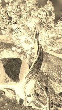 Sepia + Negatyw