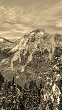 Szary + Sepia