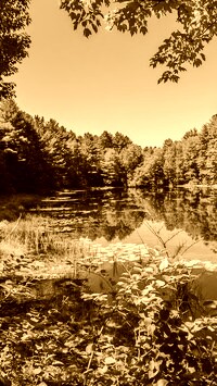 Sepia