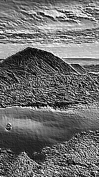 Skamielina