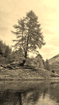 Szary + Sepia