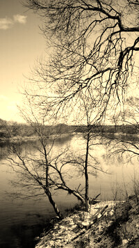 Szary + Sepia