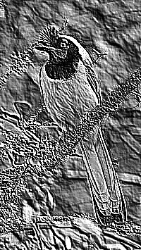 Skamielina