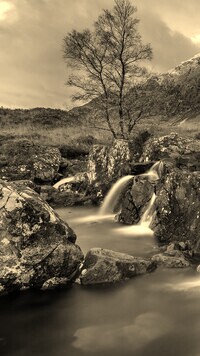 Sepia