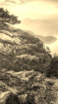 Szary + Sepia