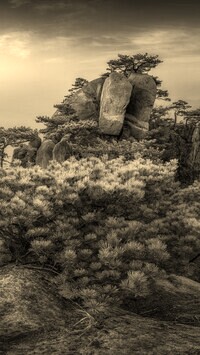 Sepia