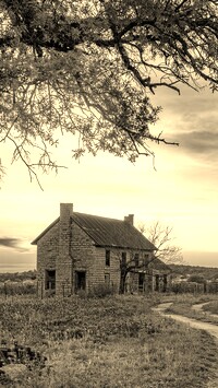 Szary + Sepia