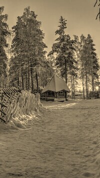 Szary + Sepia