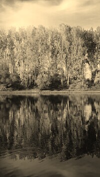 Szary + Sepia