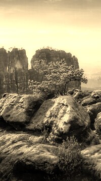 Sepia