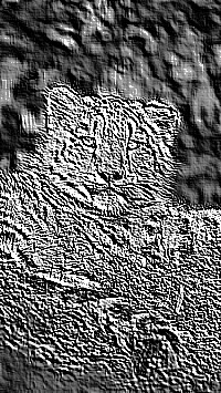Skamielina