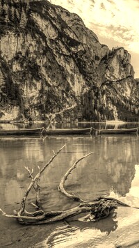 Szary + Sepia