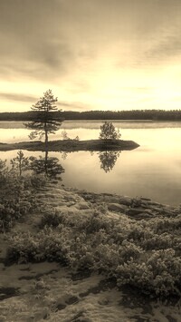 Sepia
