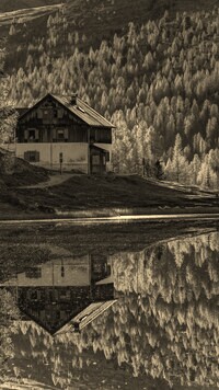 Szary + Sepia