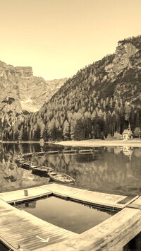 Szary + Sepia