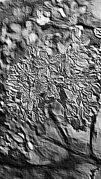 Skamielina