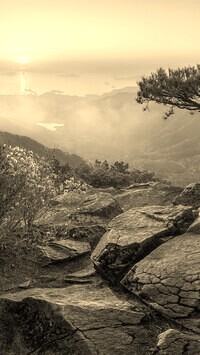 Sepia